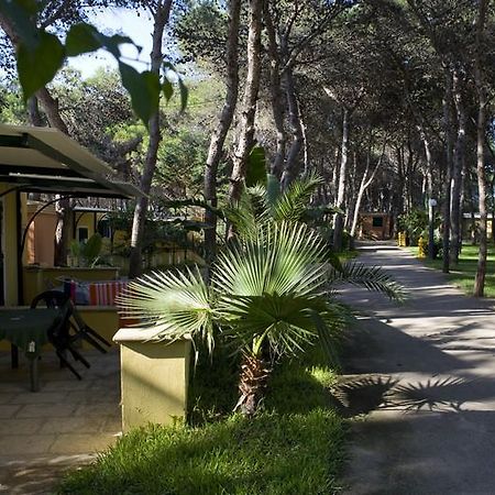 Camping La Vecchia Torre Hotel Gallipoli Eksteriør billede